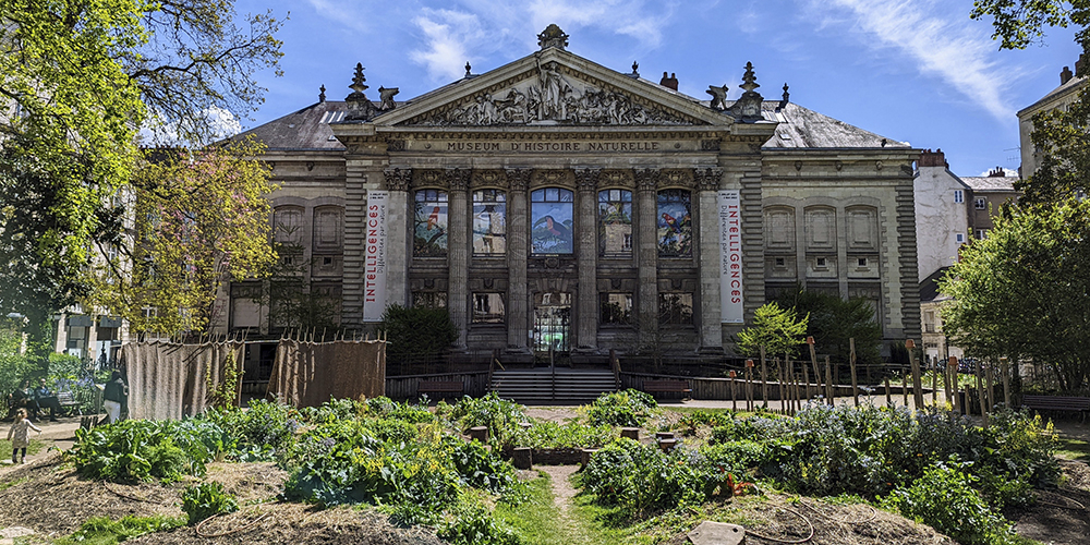 
			3-E4840-Museum-2-1000x500