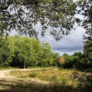 e4087-1-rb-parc-amande-11