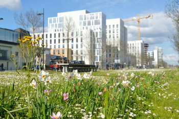 Régis Routier | Ville de Nantes